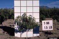 5361993