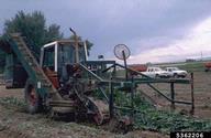 5362206