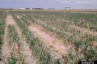 5365673
