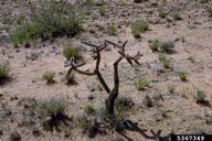 5367349
