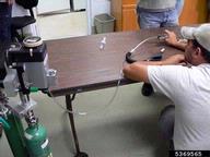 5369565