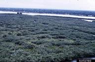 5372780