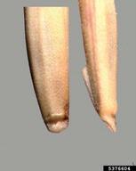 5376604