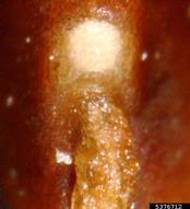 5376712