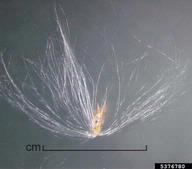 5376780