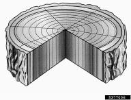 5377006