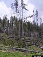 5378364