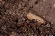 5379994