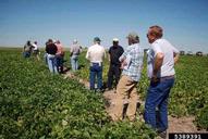 5389391