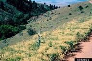 5392801
