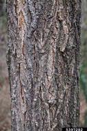 5397282