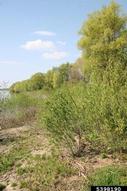 5398190