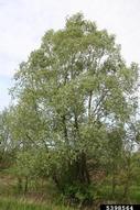5398564