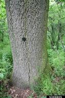 5399805