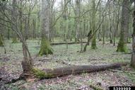 5399989