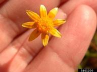 5401200