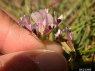 5401393