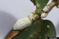 5401946