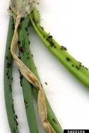 5402104