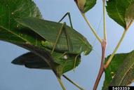 5403359