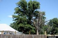 5406050