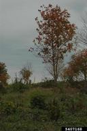 5407168