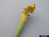 5408696