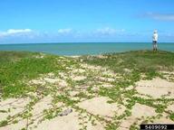 5409092