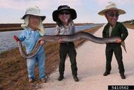 5410562