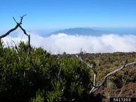 5417203