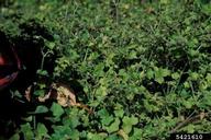 5421610