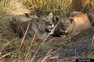 5430765