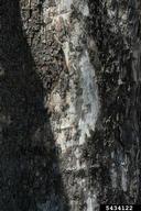5434122