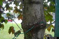 5434745