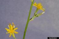 5435902