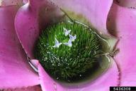 5436308
