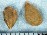 5437102
