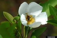 5440326