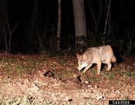 5443588