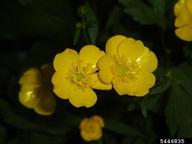 5446835