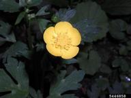5446858