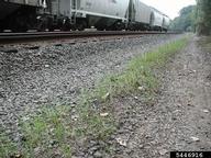 5446916
