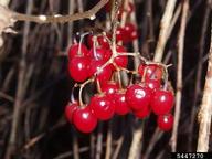 5447270