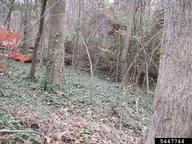 5447744