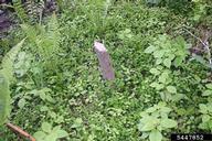 5447852