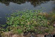 5448278