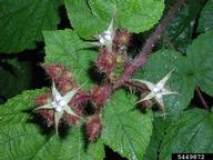 5449872