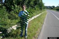 5451553