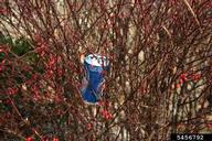 5456792