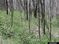 5456949